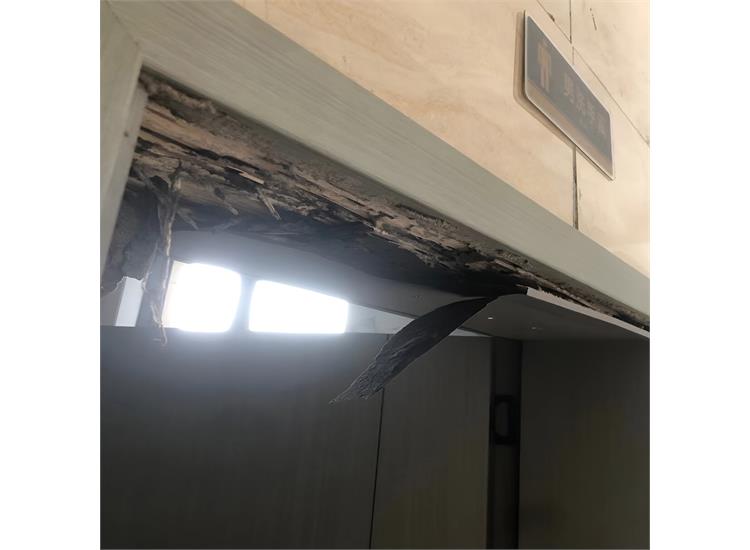 灭白蚁要钱吗_灭白蚁多少钱_灭白蚁大概多少钱