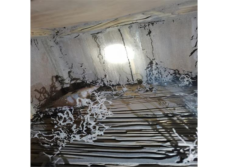 灭白蚁多少钱_灭白蚁大概多少钱_灭白蚁要钱吗