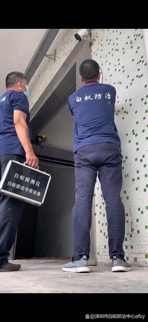 灭白蚁多少钱_灭白蚁要钱吗_灭白蚁大概多少钱