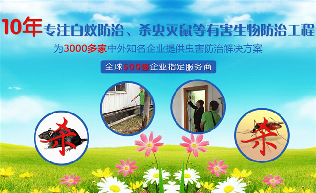 灭白蚁最有效的药_灭白蚁怎么样报价_灭白蚁多少钱