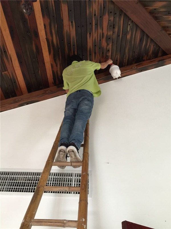 灭白蚁多少钱_灭白蚁怎么样报价_灭白蚁最有效的药