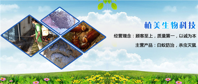 灭白蚁最有效的药_灭白蚁多少钱_灭白蚁怎么样报价