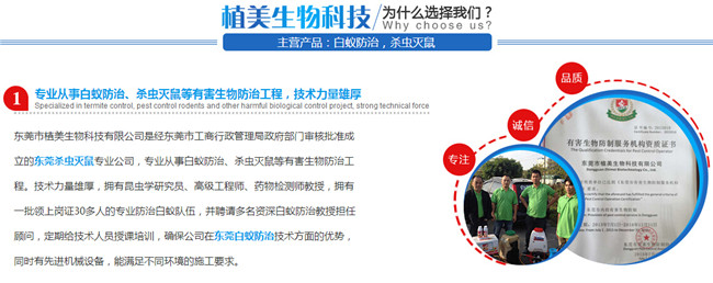 灭白蚁多少钱_灭白蚁最有效的药_灭白蚁怎么样报价
