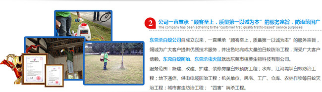 灭白蚁怎么样报价_灭白蚁最有效的药_灭白蚁多少钱