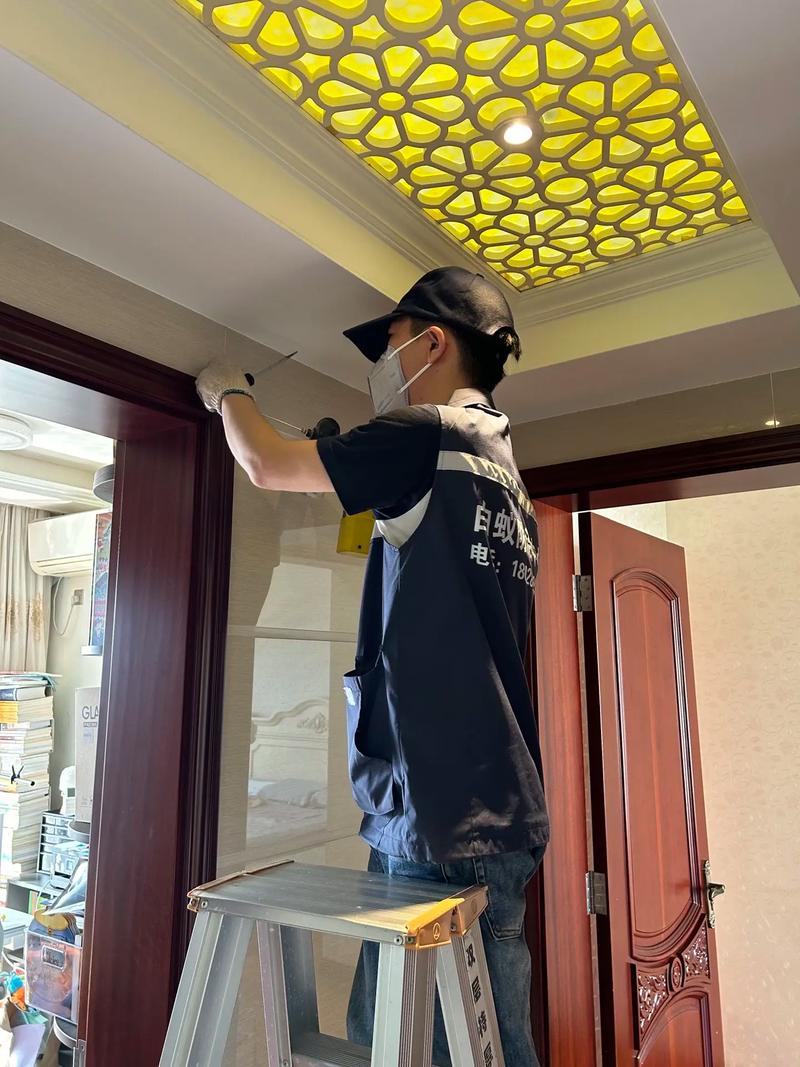 灭白蚁多少钱_灭白蚁怎么样报价_灭白蚁最有效的药