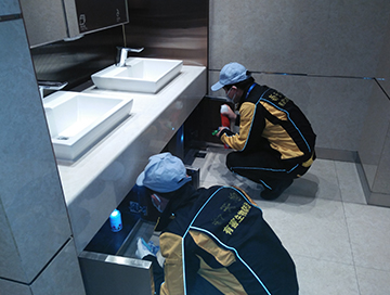 灭臭虫专业公司_专业灭臭虫公司有用吗_杀臭虫公司