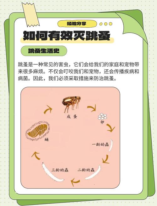 专杀跳蚤药_跳蚤灭杀药_灭杀跳蚤的药