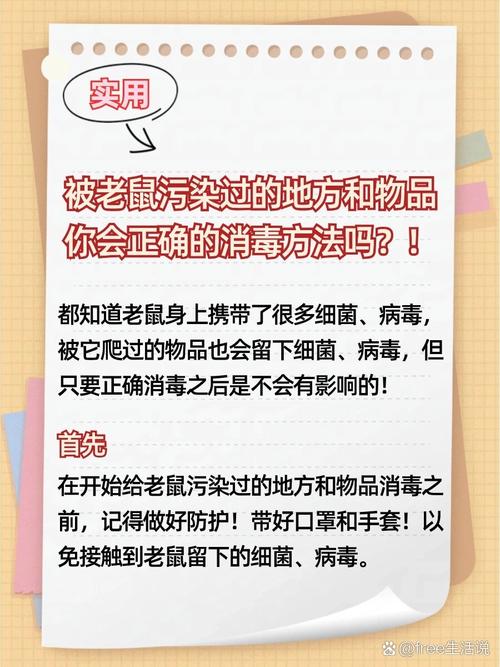 灭老鼠公司_湖州灭老鼠公司_杭州灭老鼠