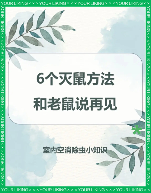 老鼠灭绝了是好事吗_老鼠灭绝了有什么后果_如何灭老鼠
