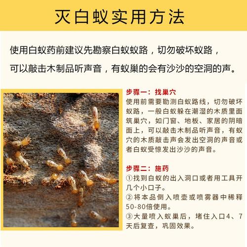 消杀白蚁药物_白蚁怎么消灭才干净用什么药_灭白蚁的药有毒吗