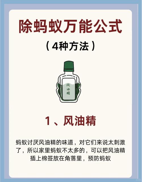消杀白蚁药物_白蚁怎么消灭才干净用什么药_灭白蚁的药有毒吗