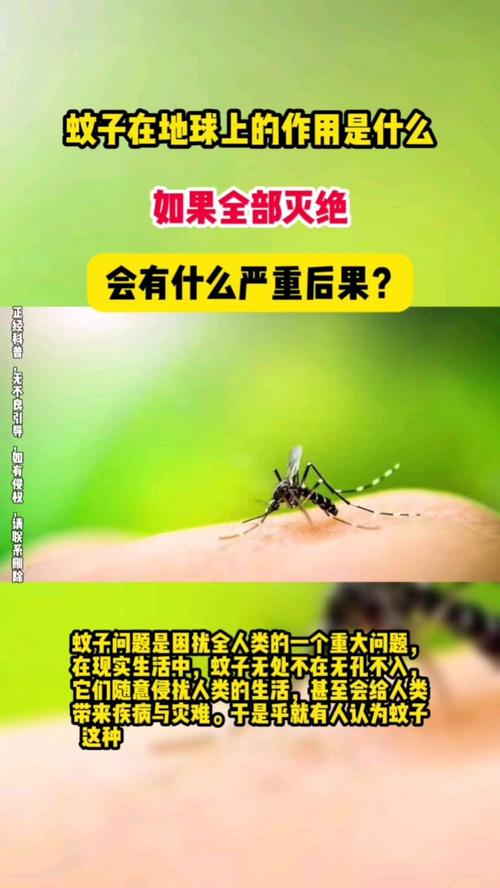 蚊子灭绝的国家_国家为什么不消灭蚊子_蚊子彻底消灭