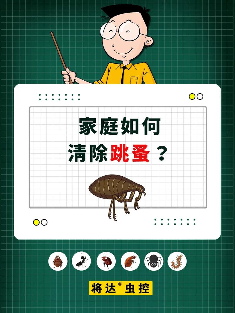 灭跳蚤好的农药_灭跳蚤_灭跳蚤的药
