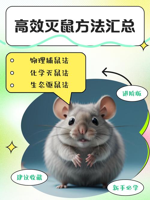 杀老鼠会得鼠疫吗_老鼠可以杀生吗_灭老鼠算杀生吗