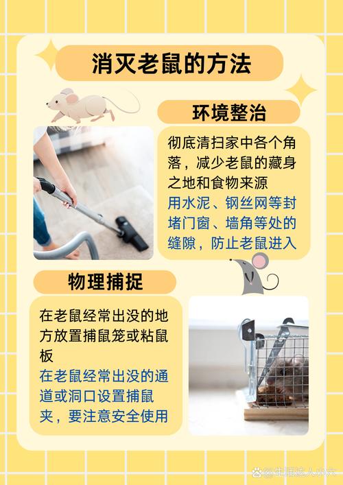 杀老鼠会得鼠疫吗_灭老鼠算杀生吗_老鼠可以杀生吗