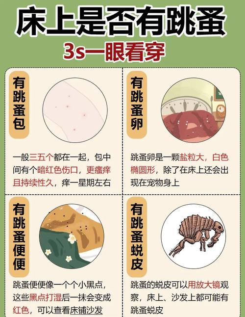 土跳蚤用什么药才能消灰呢_土跳蚤怎么去除_治跳蚤的好土办法