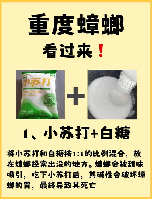 蟑螂怎么消灭彻底苏打粉_蟑螂根除法小苏打_灭蟑螂好办法小苏打