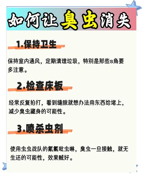 臭虫床板胶起来有用吗_床板臭虫图片_臭虫图片放大图片