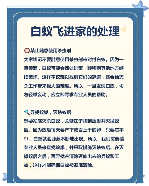 前景灭白蚁有什么方法_灭白蚁有毒吗_灭白蚁有前景吗