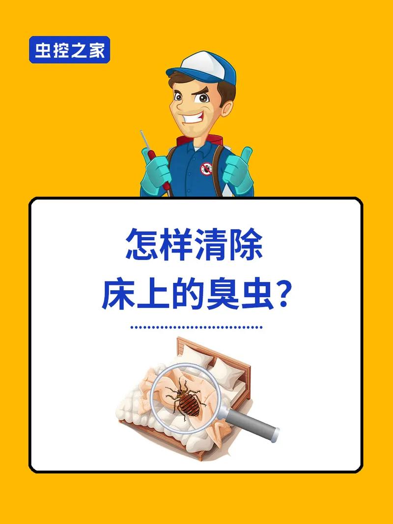 灭臭虫有效的方法_灭臭虫有效方法有哪些_灭臭虫用什么药和什么办法