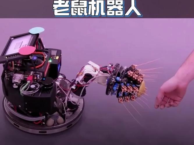 老鼠机器人怎么画_老鼠机器人是什么动画片_灭老鼠机器人