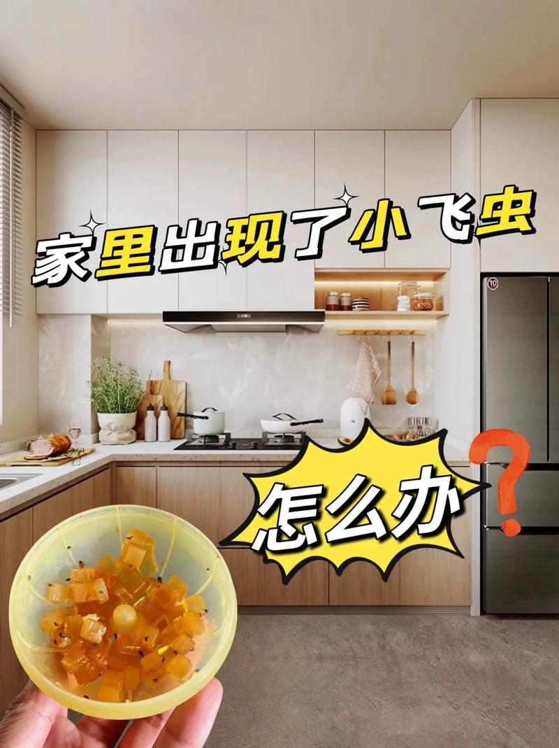 苍蝇赶走简单方法有哪些_苍蝇赶走简单方法图片_赶走苍蝇简单的方法