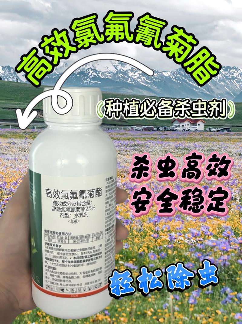 灭蚊子有效的药_灭蚊子药有毒吗_灭蚊子的药