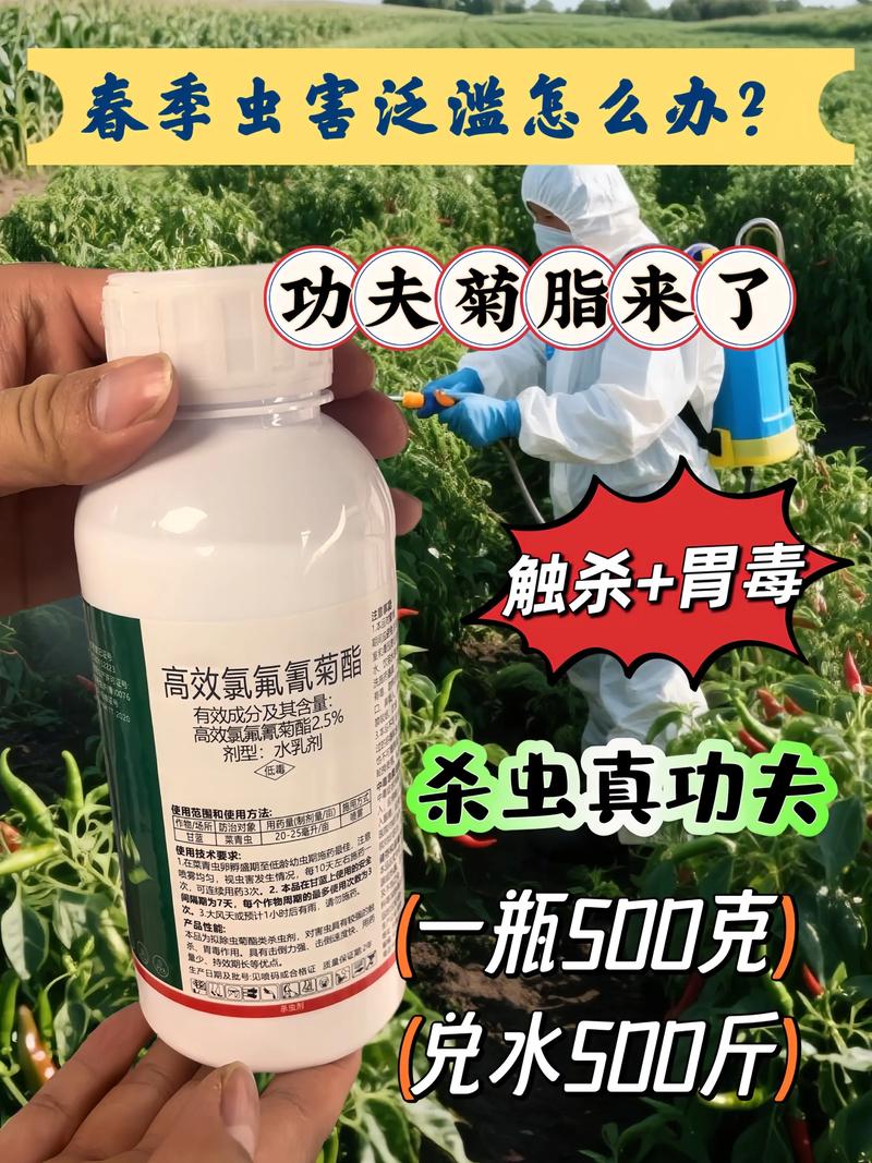 灭蚊子药有毒吗_灭蚊子有效的药_灭蚊子的药