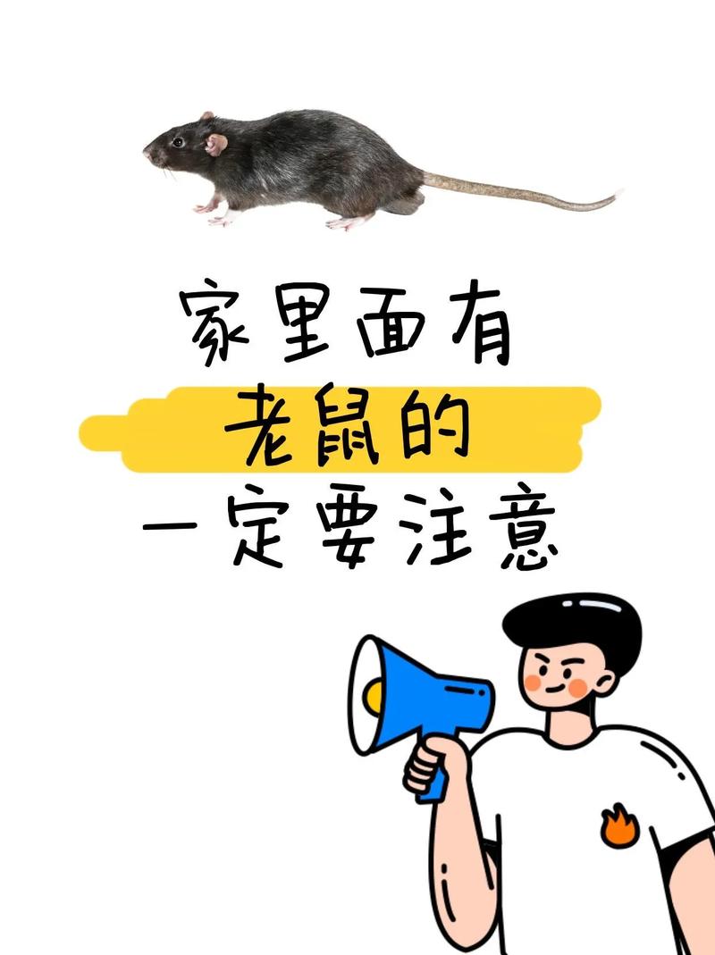 驱鼠声波手机版_驱鼠声波app_手机播放的驱鼠超声波