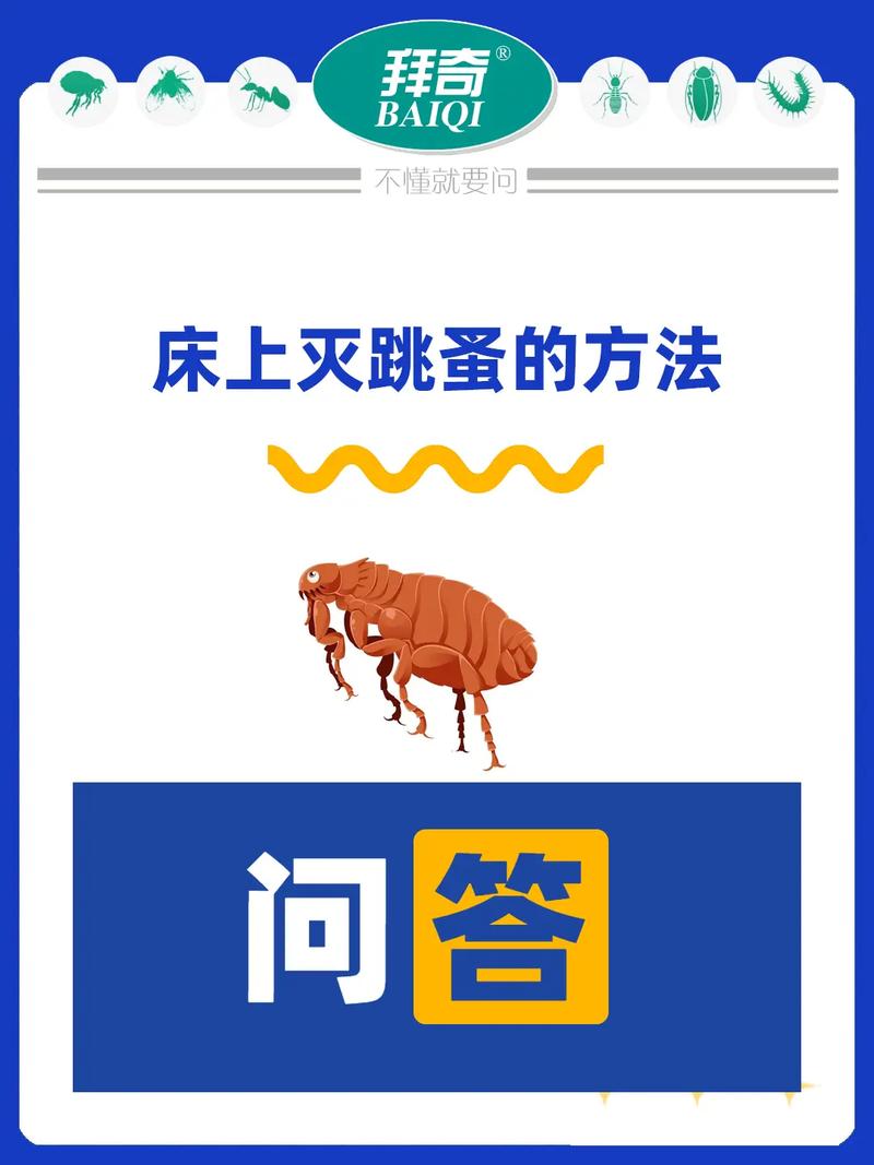 家里消灭跳蚤妙招_去除家里跳蚤_消灭妙招跳蚤家里能养吗