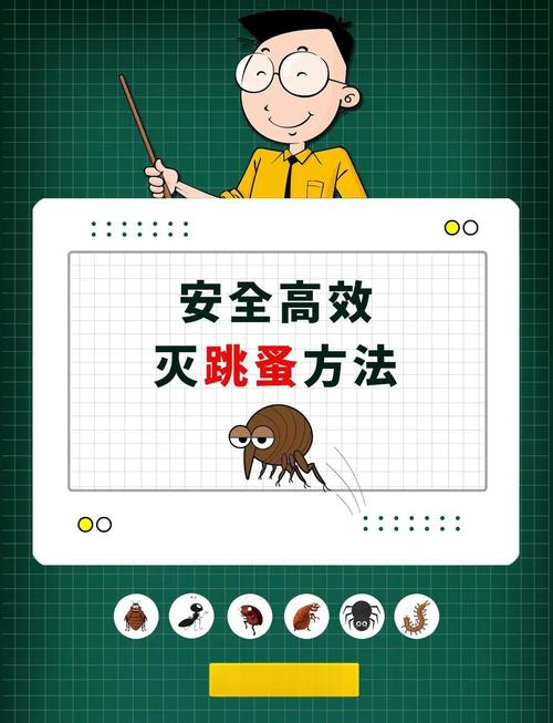 如何灭跳蚤一次全消灭_彻底消灭跳蚤_消灭跳蚤的最佳药物无毒