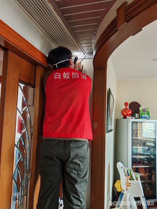 上门灭白蚁收费标准_上门灭白蚁咨询电话_专业上门灭白蚁公司