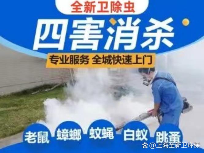 深圳专业灭臭虫_深圳灭臭虫公司_深圳臭虫消杀公司