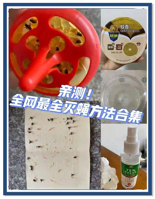 苍蝇咋灭_苍蝇用什么方法灭最好_灭苍蝇用什么办法