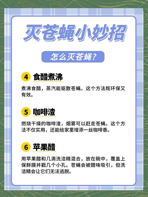 苍蝇咋灭_灭苍蝇用什么办法_苍蝇用什么方法灭最好