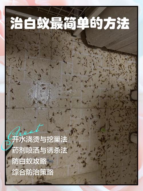 消杀白蚁药物_白蚁怎么消灭才干净用什么药_消灭干净药白蚁用什么药