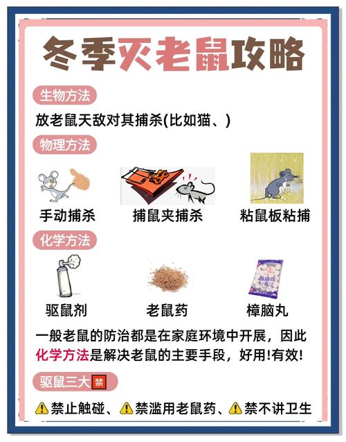 灭鼠有效方法是什么_最实用的灭鼠方法_灭鼠最好方法