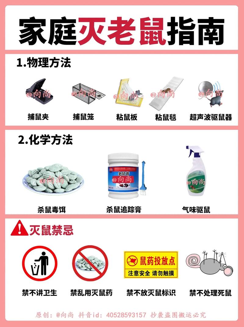 最实用的灭鼠方法_灭鼠最好方法_灭鼠有效方法是什么