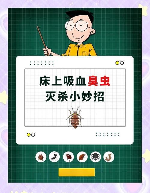 灭臭虫用什么药最好_灭臭虫效果最好的药_灭臭虫***