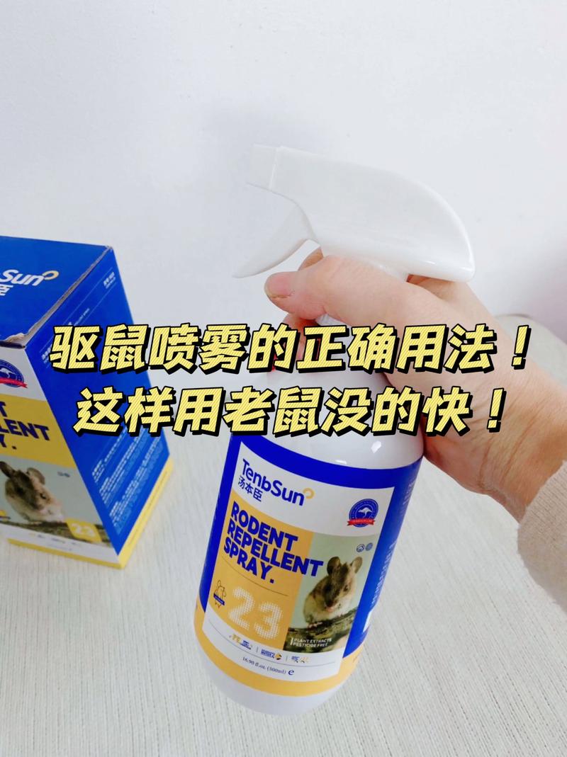 杀老鼠_老鼠杀了会有报应吗_老鼠杀大象的成语