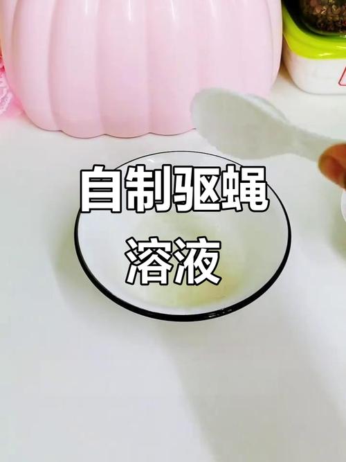 苍蝇要怎么赶走_苍蝇怎么赶跑_赶走苍蝇最简单的方法