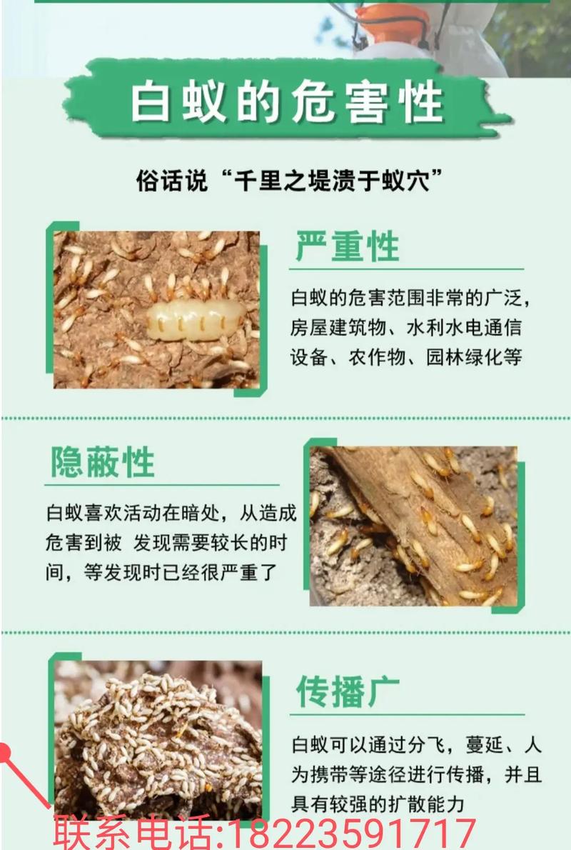 白蚁怎么灭_灭白蚁找哪个部门_灭白蚁最有效的方法