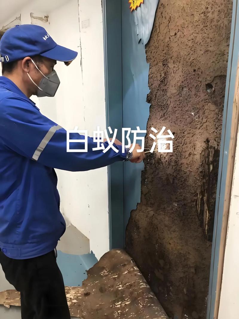 灭白蚁公司_灭白蚁公司多少钱一次_灭白蚁公司价格