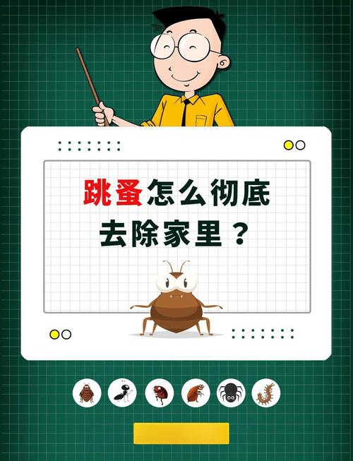 跳虫用什么药杀灭最有效_怎样灭跳虫_灭跳跳虫最有效的方法