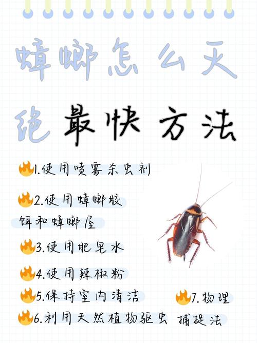 蟑螂如何灭_蟑螂灭除方法_灭蟑螂的最有效方法