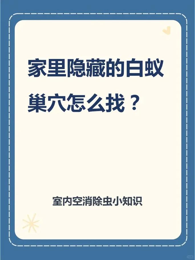 家里飞白蚁别慌，教你一招找到蚁巢一窝端，这样灭效果最好