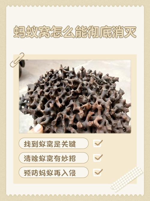 效果灭白蚁好使吗_白蚁怎么灭效果最好_效果灭白蚁好不好
