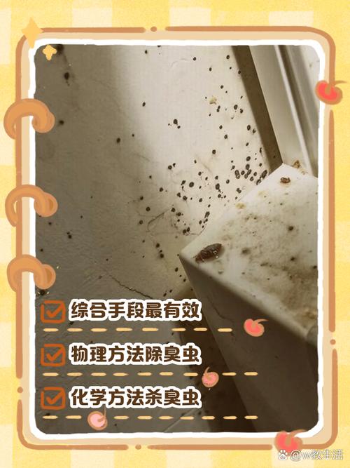 彻底消灭臭虫绝招：先找准藏在缝隙里的虫窝，再用高温蒸汽烫
