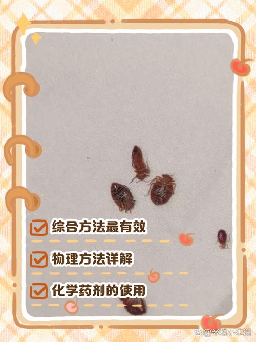 消灭臭虫的最佳办法_臭虫怎么消灭最彻底_消灭彻底臭虫的方法