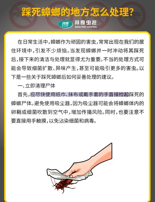 灭蟑螂妙法_蟑螂灭蟑螂方法_灭蟑螂最有效的方法是什么